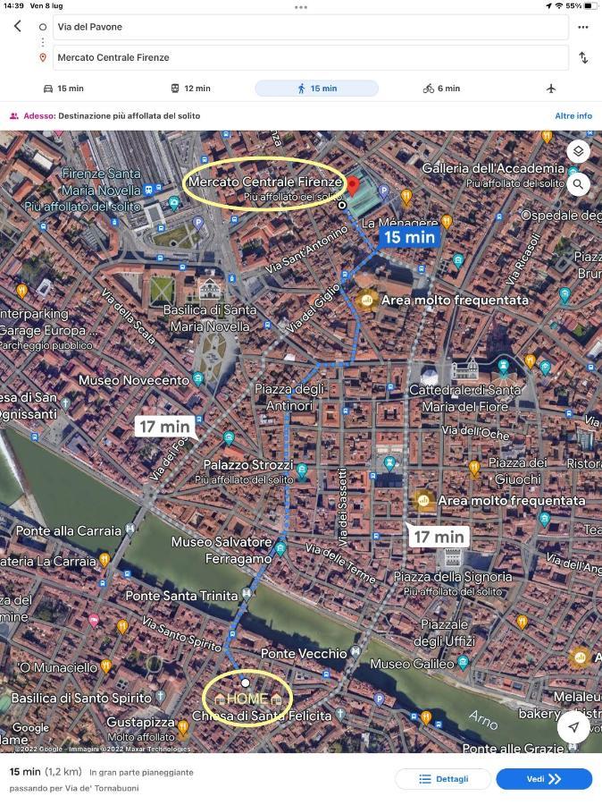 Uffizi & Santo Spirito Family/Groups Apartment Florence Buitenkant foto