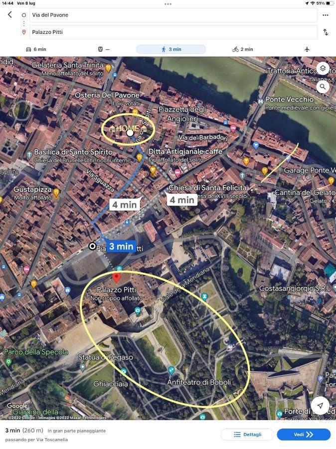 Uffizi & Santo Spirito Family/Groups Apartment Florence Buitenkant foto